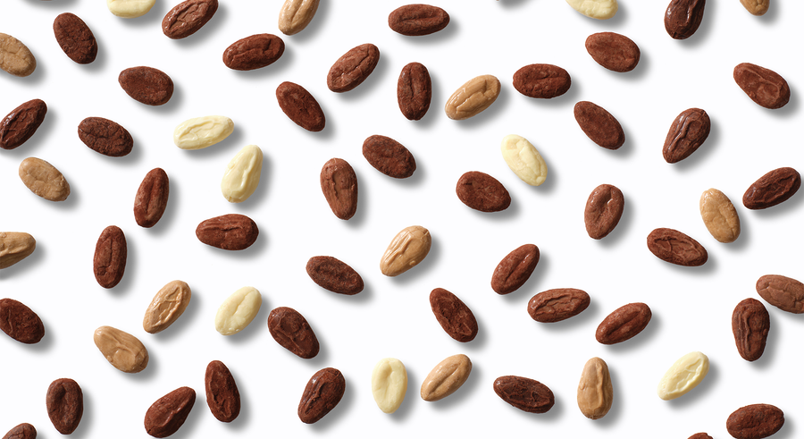 Bean to Bean
